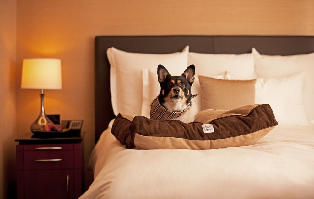 Hyatt Place Sterling Dulles Airport North Eksteriør bilde